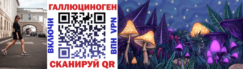 купить  сайты  Новочеркасск  Псилоцибиновые грибы мухоморы 