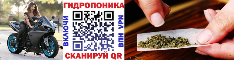 ОМГ ОМГ зеркало  купить   Новочеркасск  Конопля план 